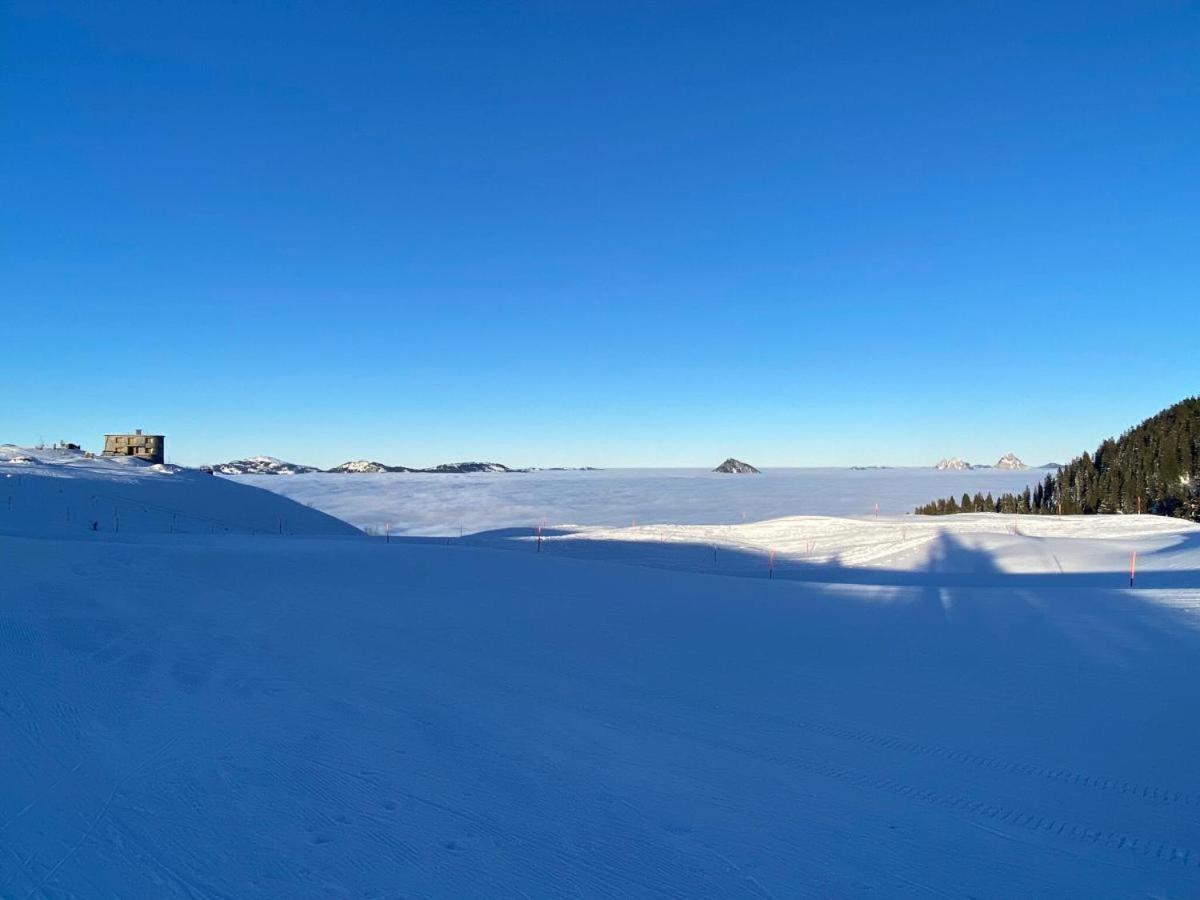 شقة Solohike Mountainview سيليسبيرغ المظهر الخارجي الصورة